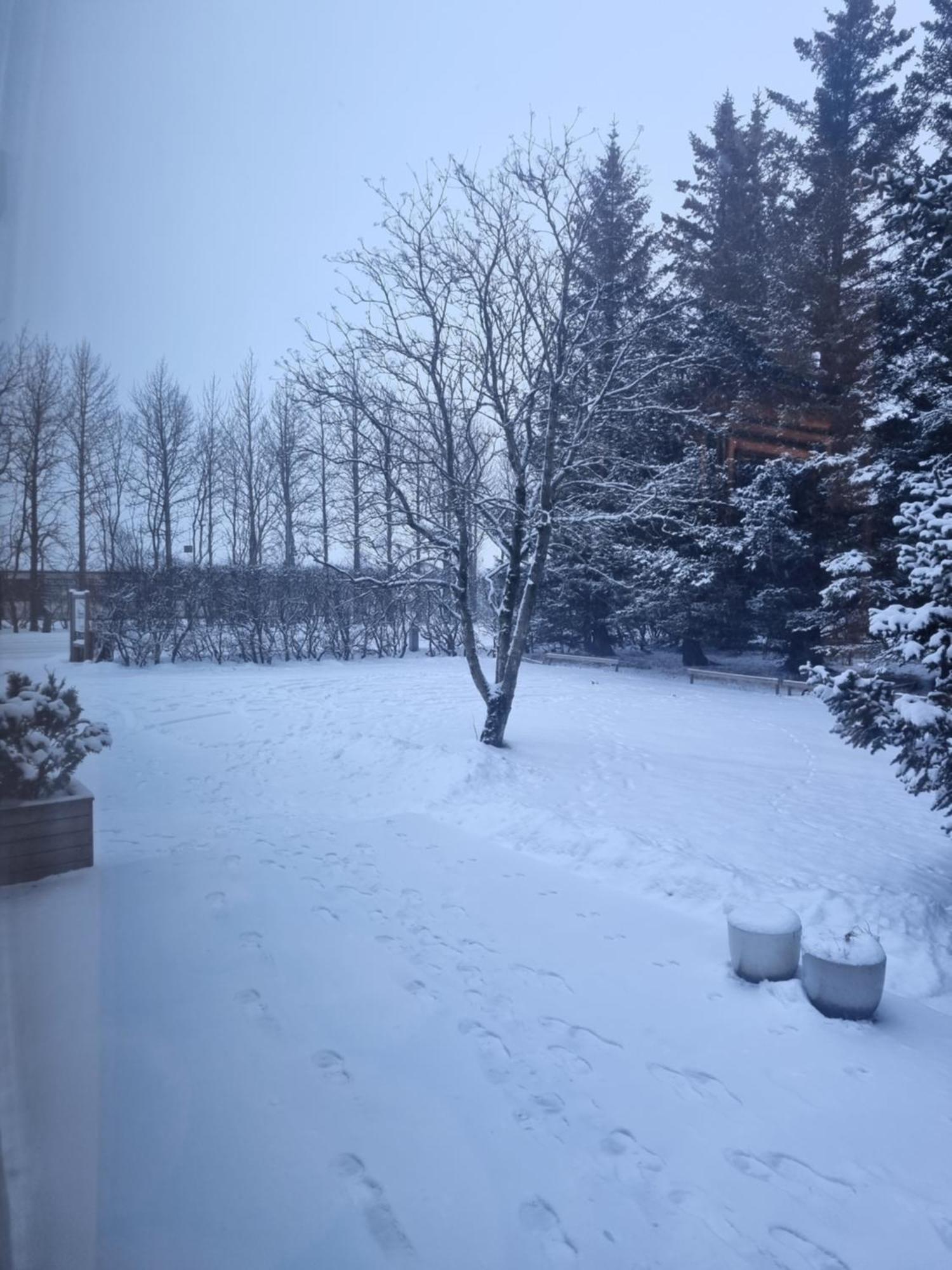 Spoi Guesthouse Hvolsvöllur Kültér fotó